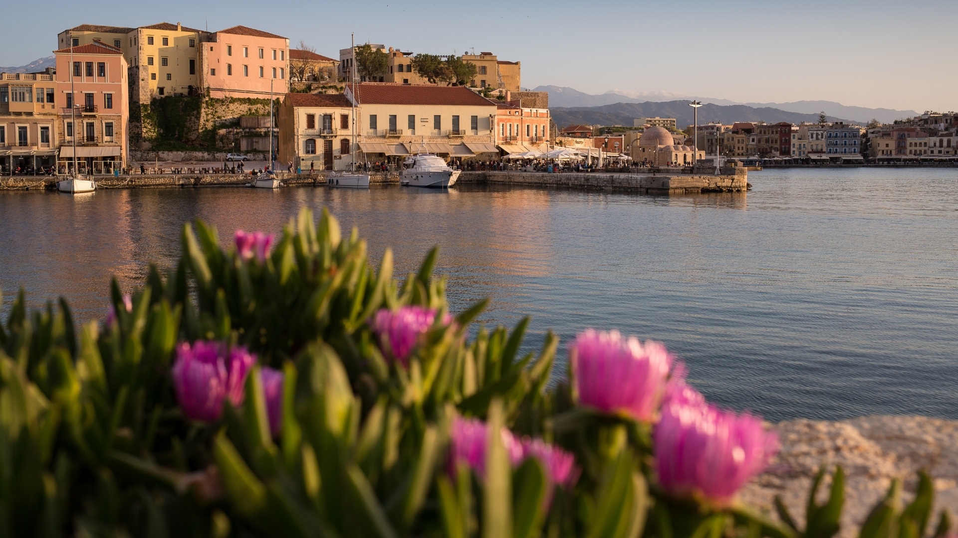 Discovering the secrets of Cretan gardens